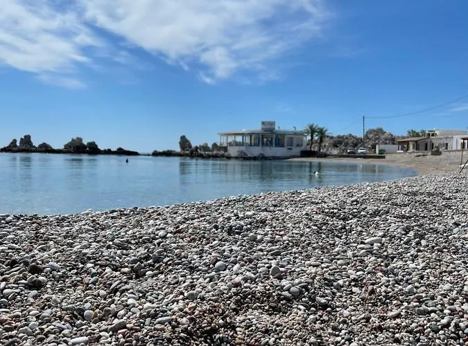 Dream View ハラキ